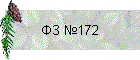 �� �172